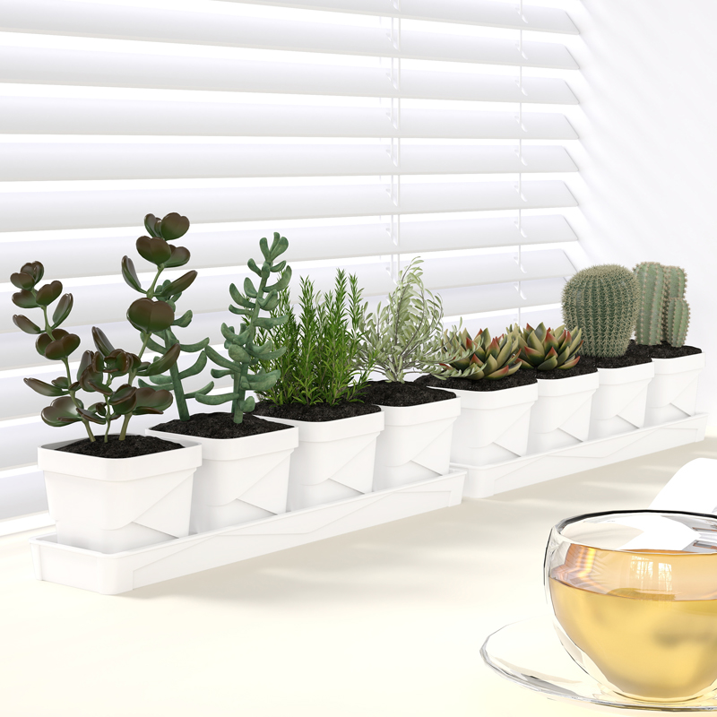 Cactus Mix Pot - Nordic Minimalist Succulent Pot With Tray