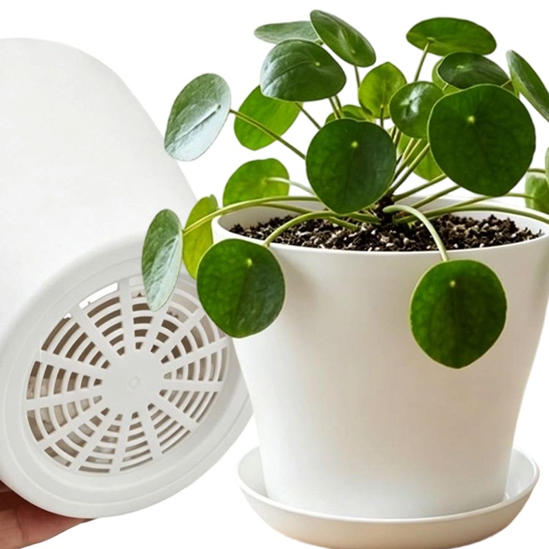 Cactus Mix Pot - Plant Pot Set with Drainage Holes