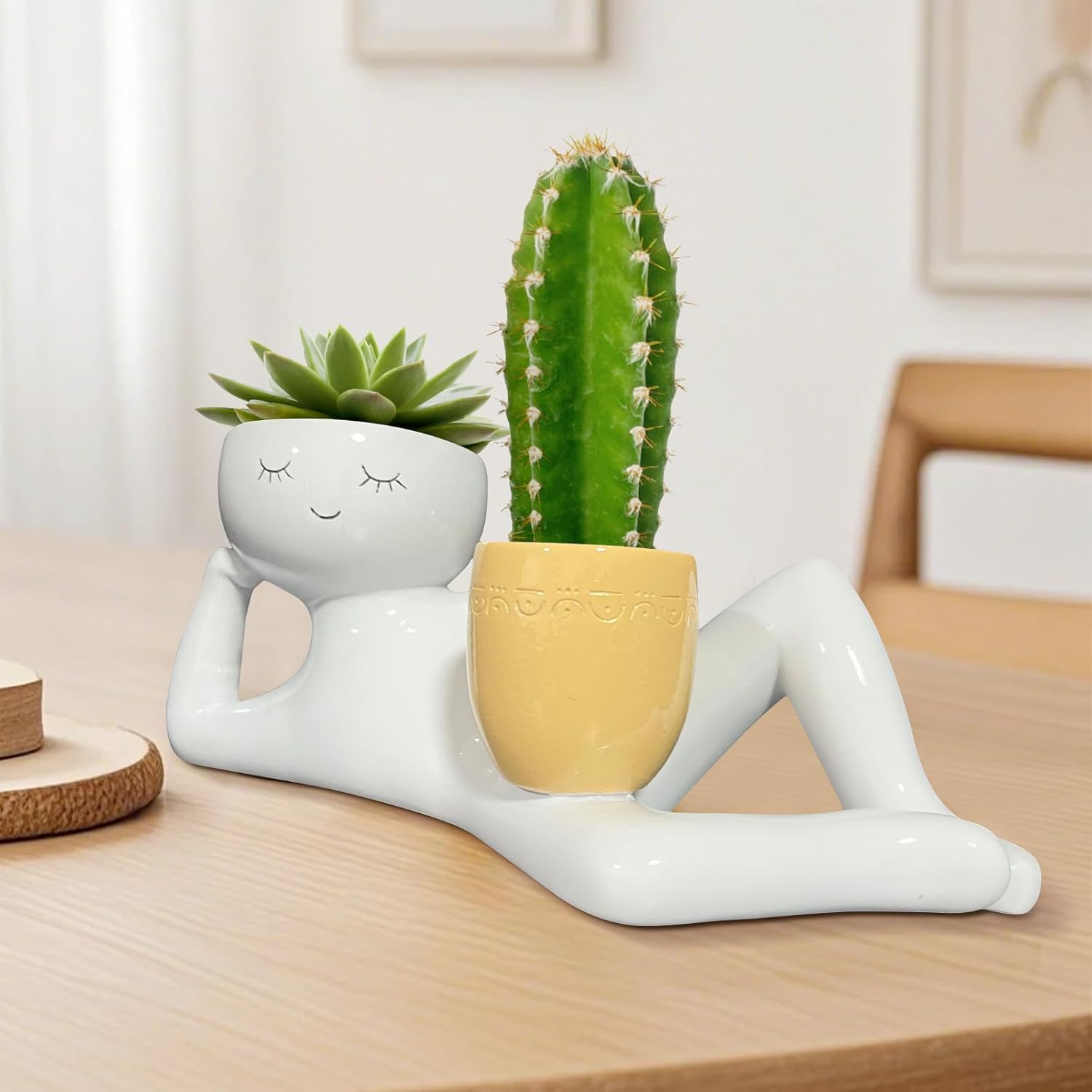 Lazy Little Guy Planter Unique - Cactus Mix Pot ulasan dan harga