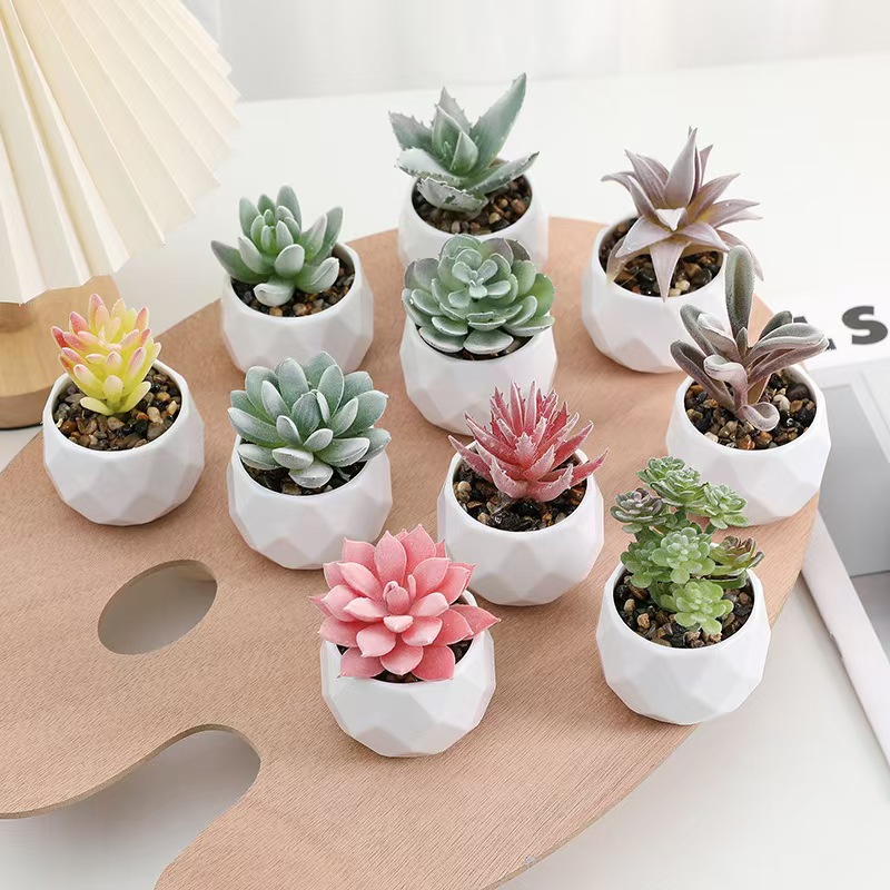 Mini Artificial Plants Simulat - Cactus Mix Pot ulasan dan harga