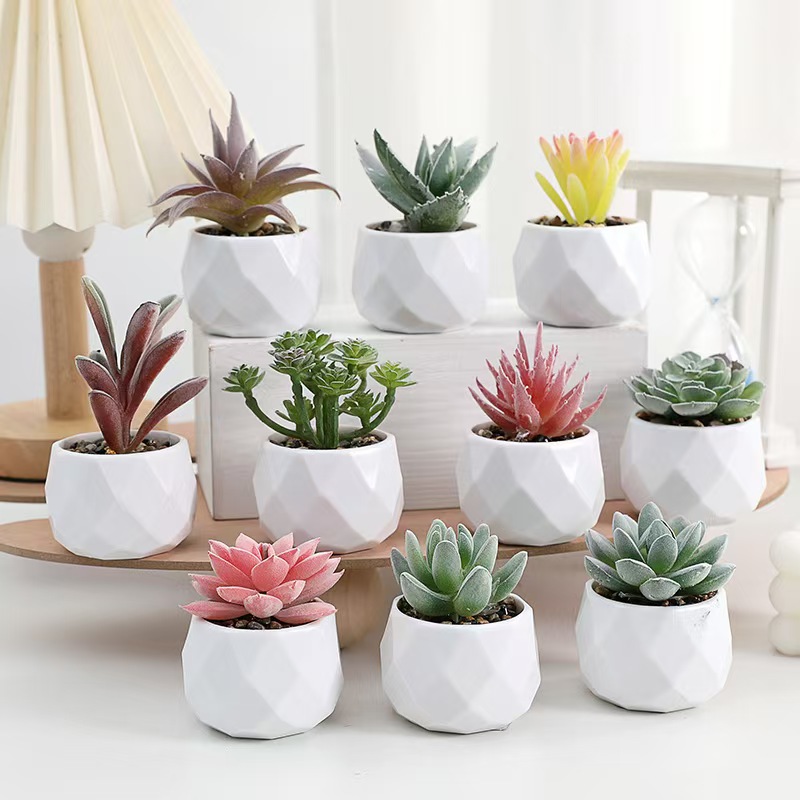 Mini Artificial Plants Simulat - Cactus Mix Pot ulasan dan harga