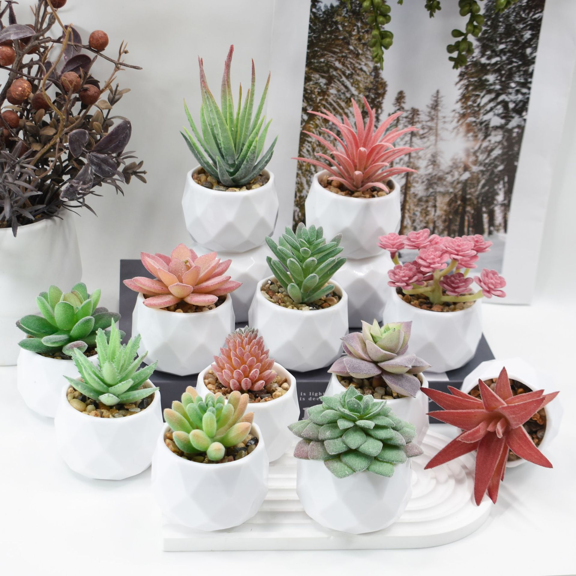 Mini Artificial Plants Simulat - Cactus Mix Pot ulasan dan harga