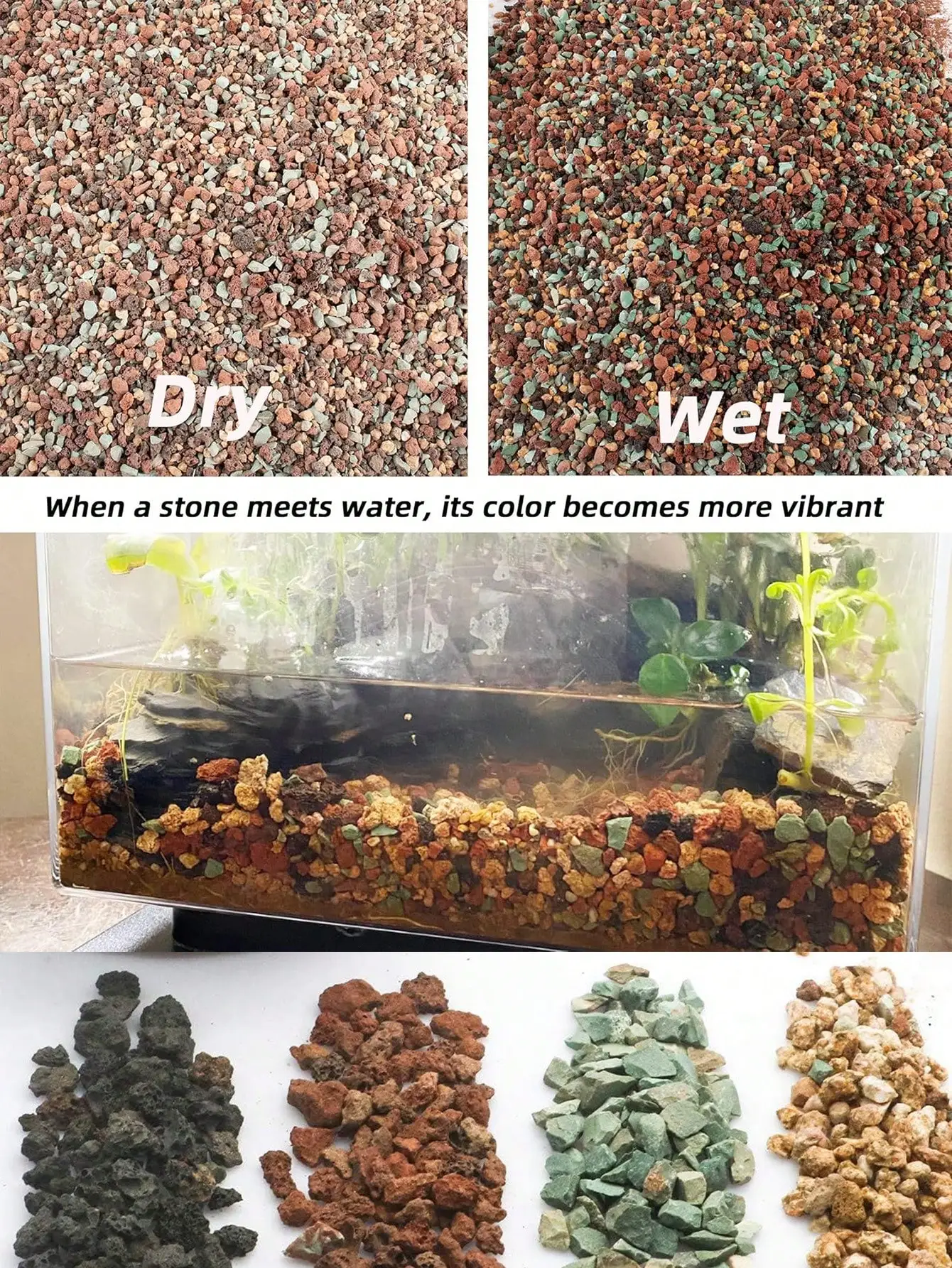 Mix Horticultural Lava Rock Pe - Cactus Mix Pot ulasan dan harga