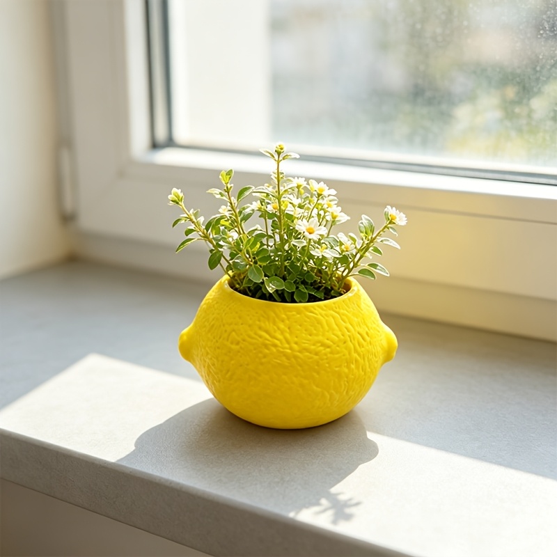Lemon Shape Decorative Planter - Cactus Mix Pot ulasan dan harga