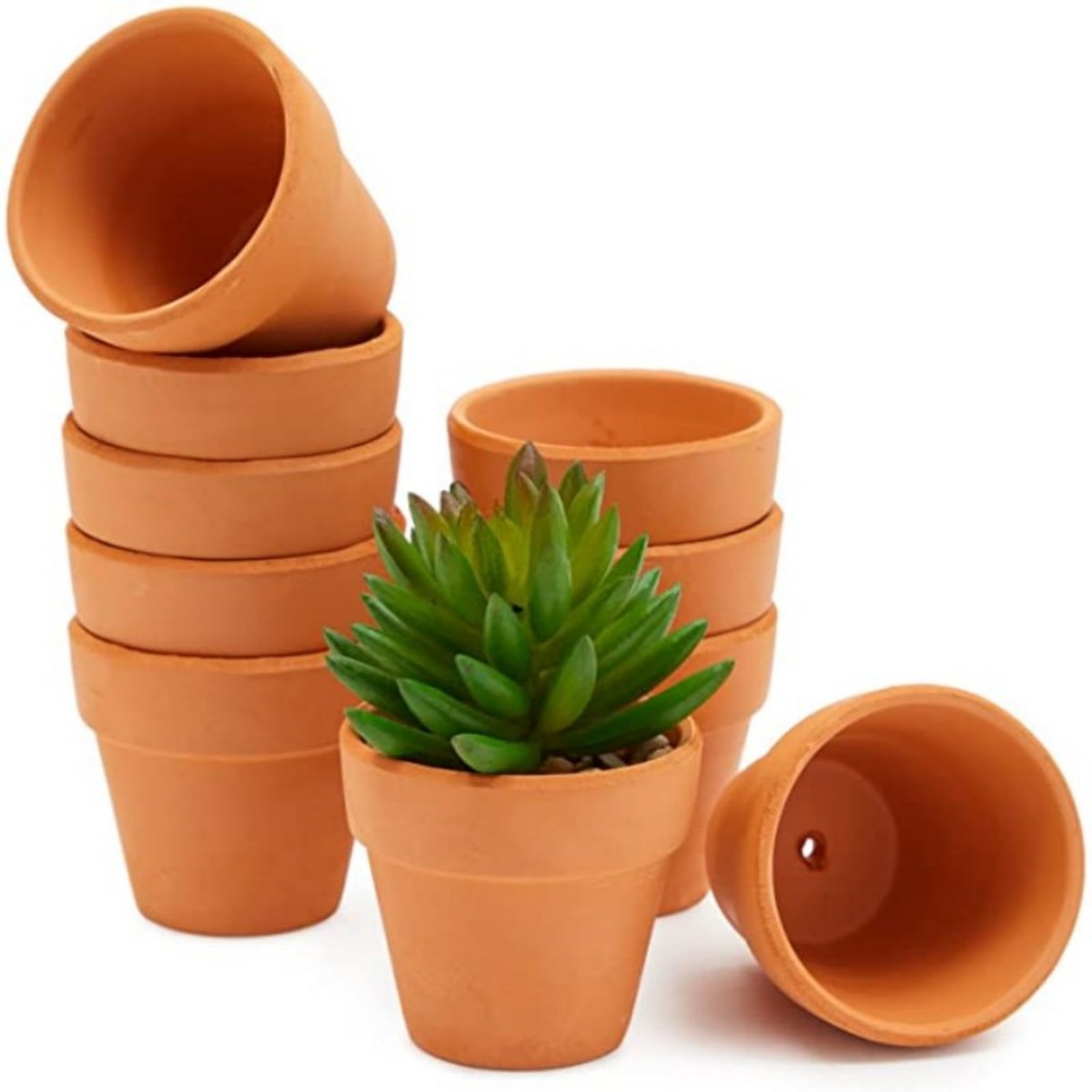 16 Pcs 1.8'' Terra Cotta Pots  - Cactus Mix Pot ulasan dan harga