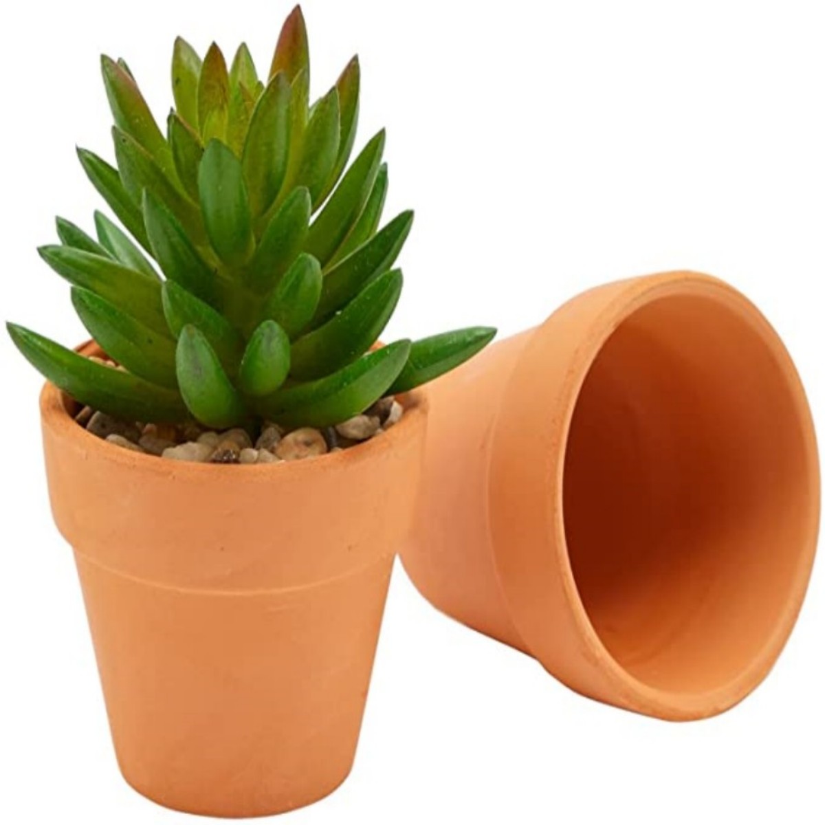 16 Pcs 1.8'' Terra Cotta Pots  - Cactus Mix Pot ulasan dan harga