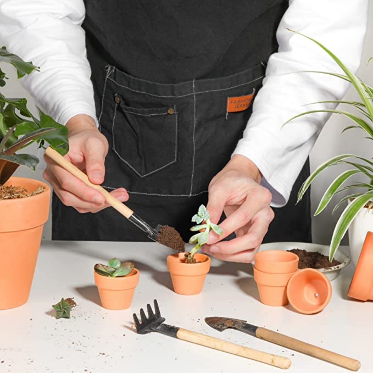 16 Pcs 1.8'' Terra Cotta Pots  - Cactus Mix Pot ulasan dan harga