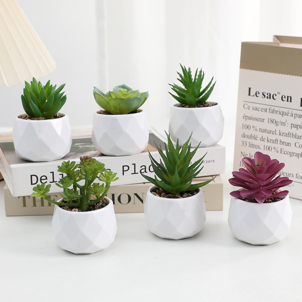 Simulation Evergreen Artificia - Cactus Mix Pot ulasan dan harga