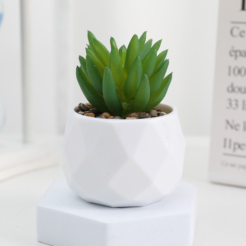 Simulation Evergreen Artificia - Cactus Mix Pot ulasan dan harga