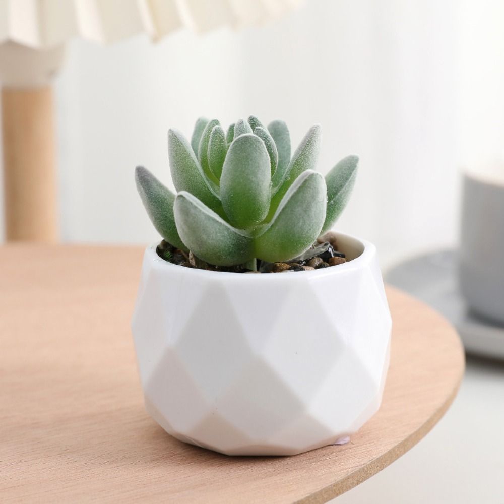 Simulation Evergreen Artificia - Cactus Mix Pot ulasan dan harga