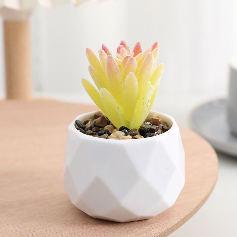 Simulation Evergreen Artificia - Cactus Mix Pot ulasan dan harga