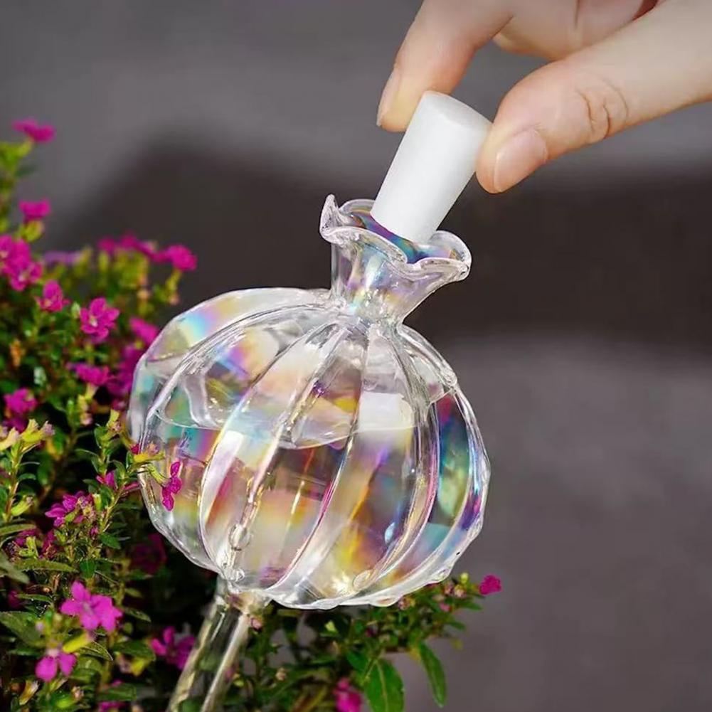 24cm Cactus Self Watering Bulb - Cactus Mix Pot ulasan dan harga