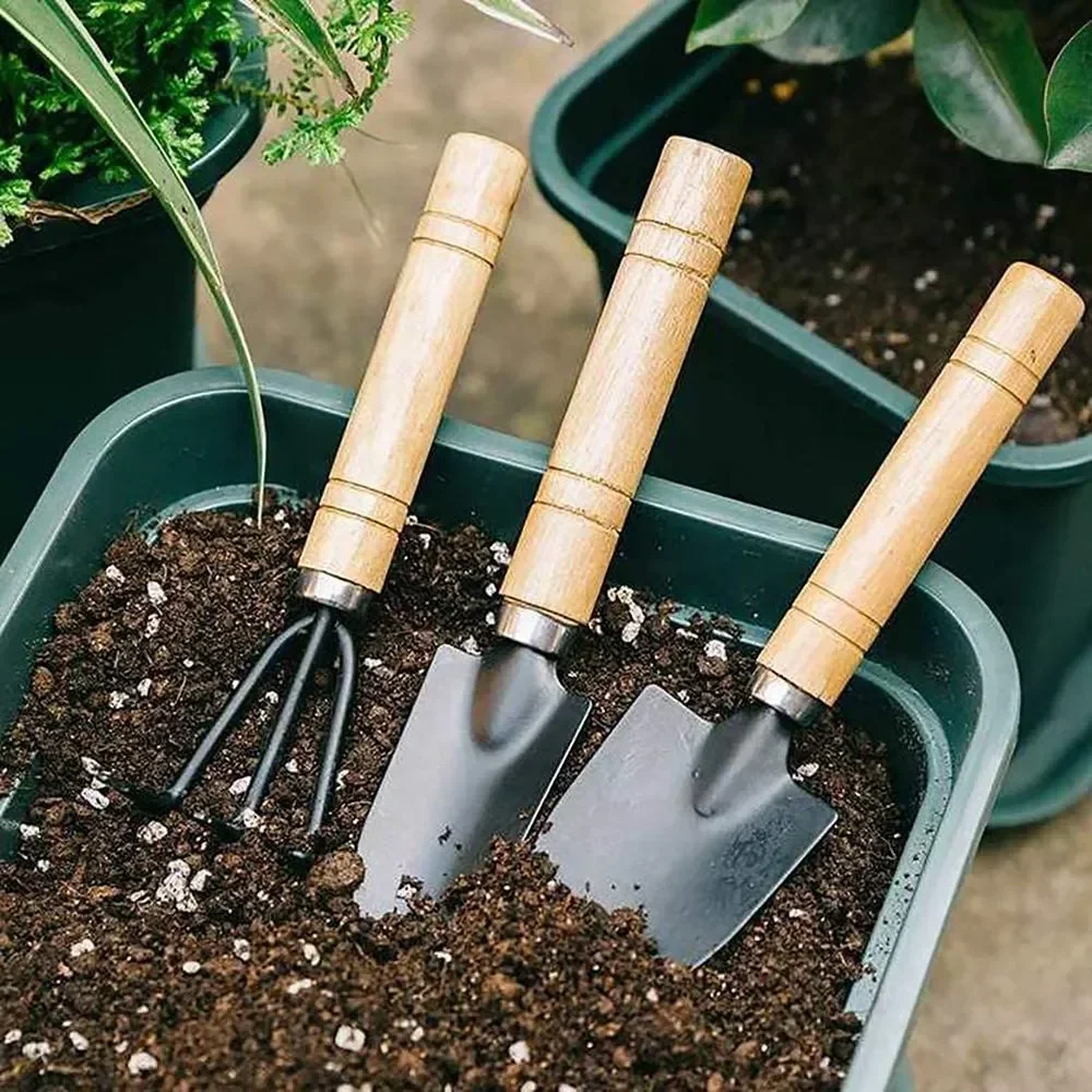 3Pcs/Set Mini Garden Tool Set  - Cactus Mix Pot ulasan dan harga