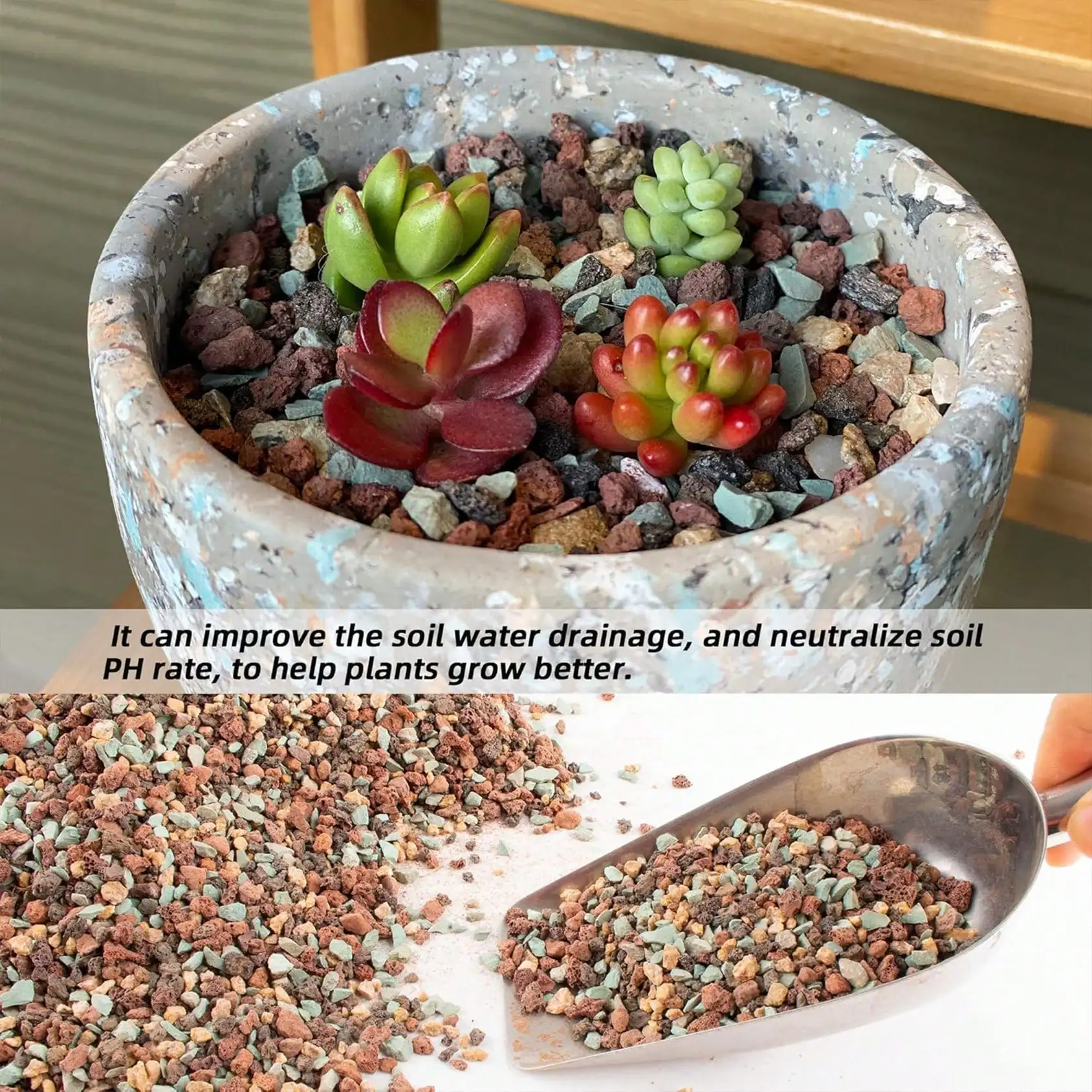 Mix Horticultural Lava Rock Pe - Cactus Mix Pot ulasan dan harga