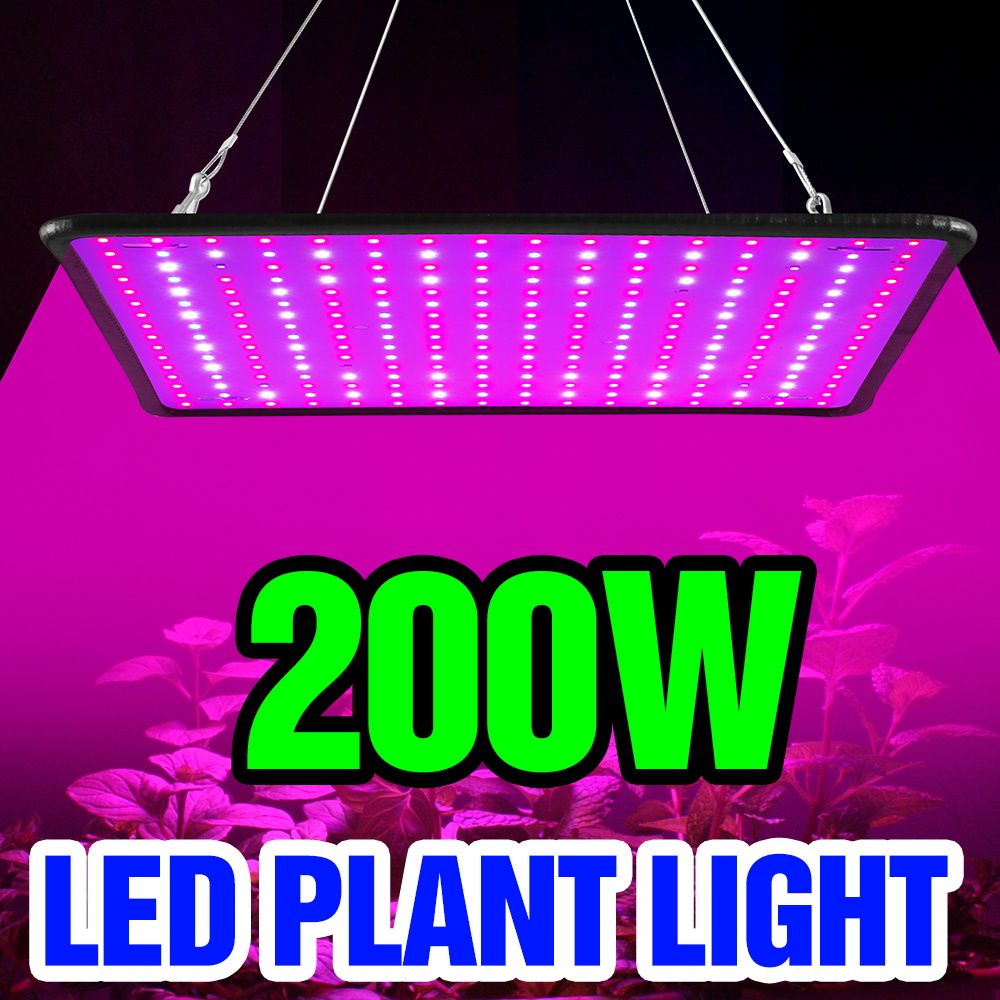 200W LED Quantum Board Grow Li - Cactus Mix Pot ulasan dan harga