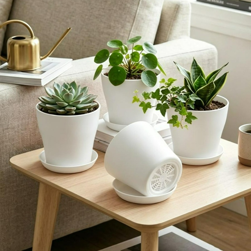 Plant Pot Set with Drainage Ho - Cactus Mix Pot ulasan dan harga